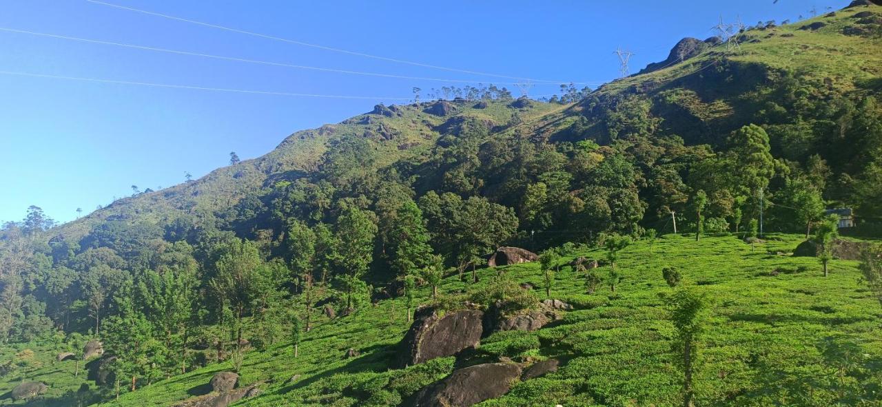 Tea Dale - All Rooms With Tea Estate View Munnar Eksteriør billede