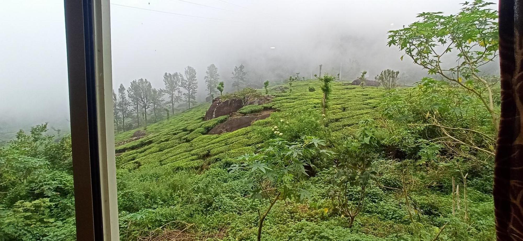 Tea Dale - All Rooms With Tea Estate View Munnar Eksteriør billede