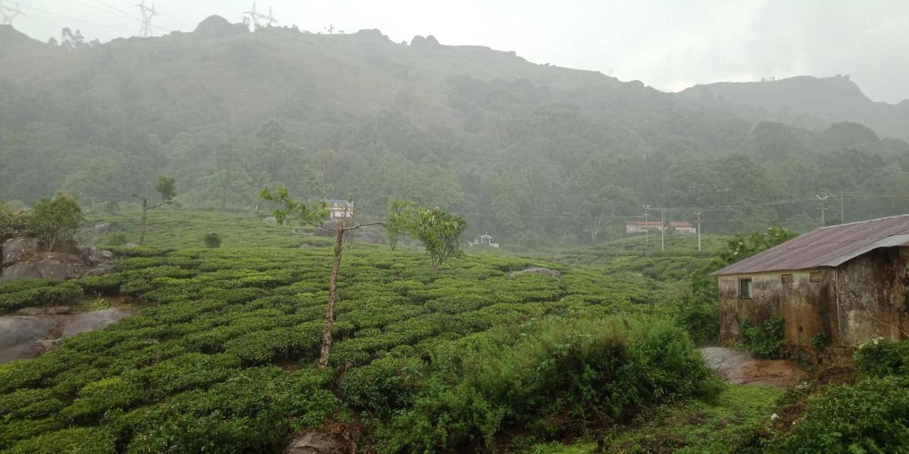 Tea Dale - All Rooms With Tea Estate View Munnar Eksteriør billede