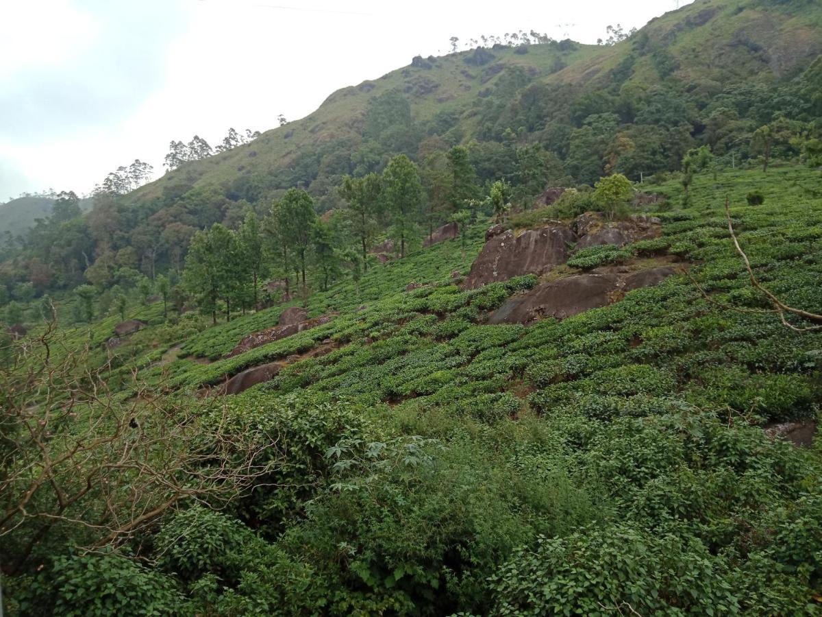 Tea Dale - All Rooms With Tea Estate View Munnar Eksteriør billede