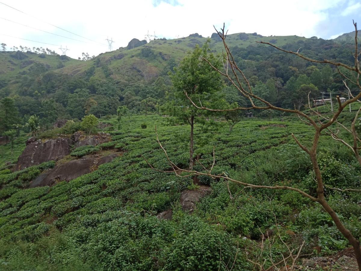 Tea Dale - All Rooms With Tea Estate View Munnar Eksteriør billede